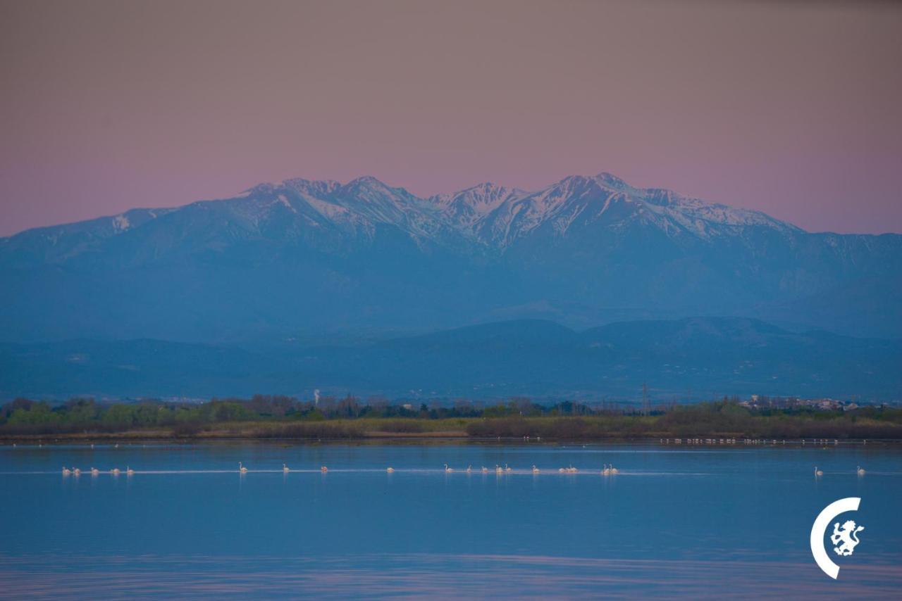 "Mer" Sejour Detente Tout Confort, Magnifique Vue Sur La Mer Canet-en-Roussillon Kültér fotó